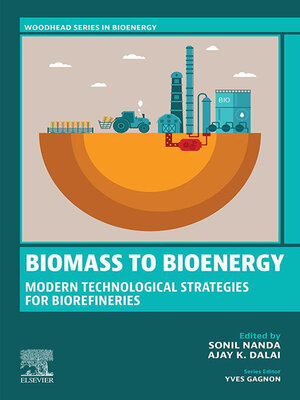 cover image of Biomass to Bioenergy